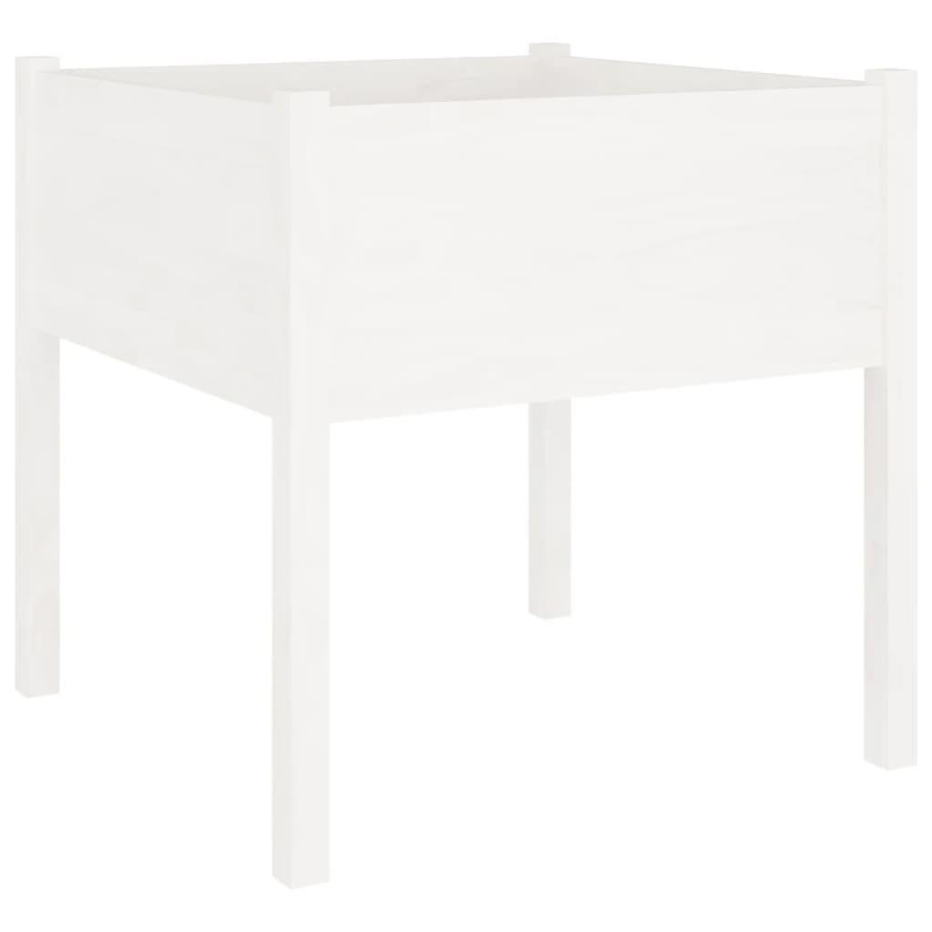 Contenitore Per Patate In Legno Di Pino Massiccio 60x40x50 Cm - Cassetta Impilabile Con Sportello Basculante E Fessure Per Aerazione - 3