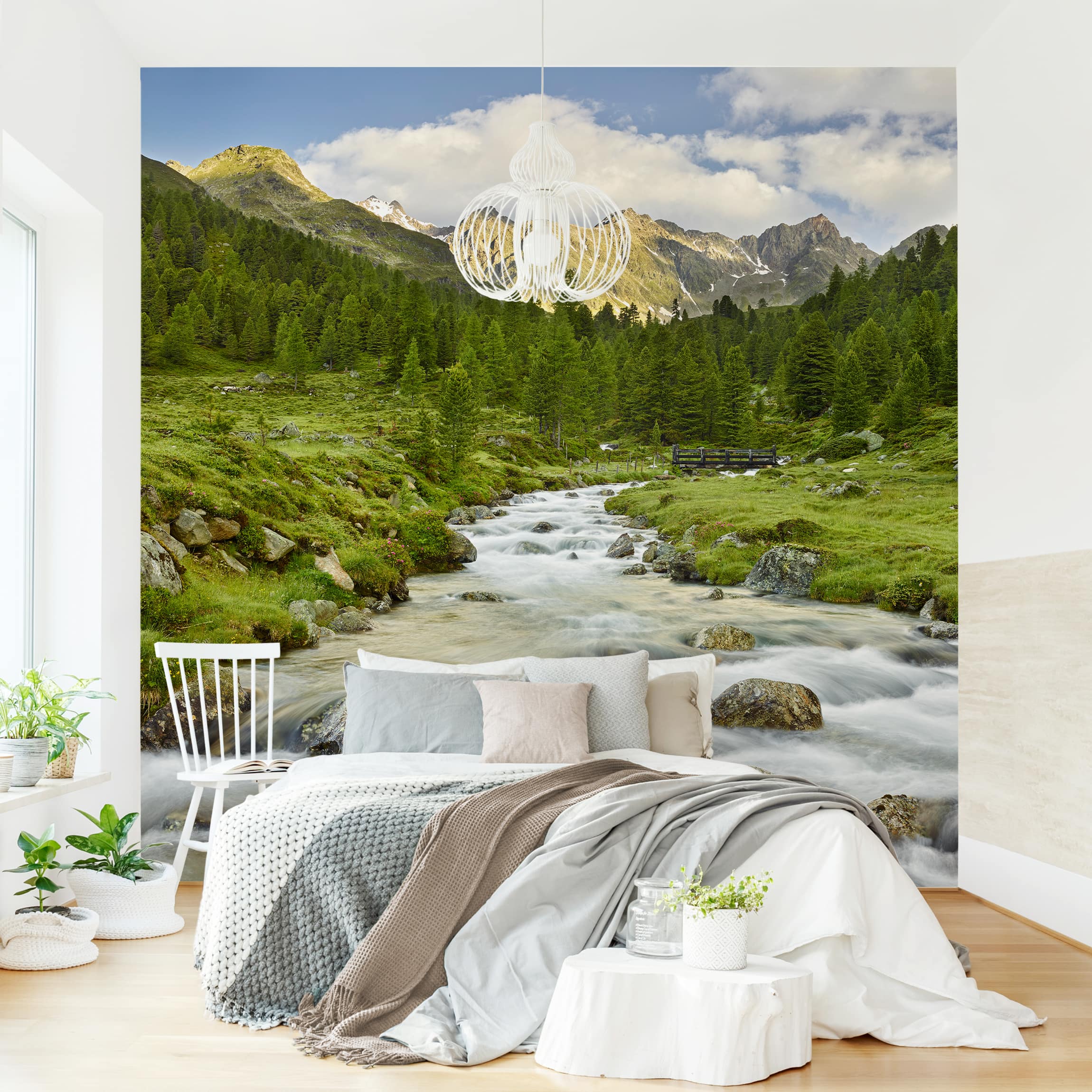 Bilderwelten Wallpaper - Monteverde Cloud Forest, Non-Woven Fabric Premium,  Dimension HxW: 240x240 cm - Amazon.com