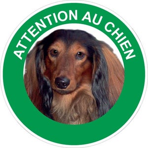 Plaque attention Au Chien ,taille 14 X 10 Cm, Pour Chien. Animallparadise  à Prix Carrefour