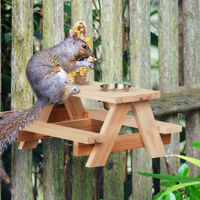 Mangeoire à écureuils Relaxdays avec support pour épis de maïs - à  suspendre - maison