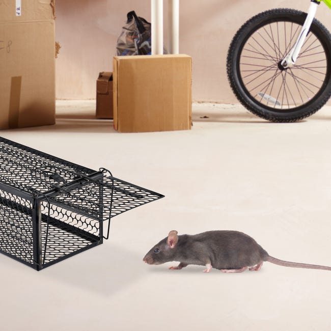Relaxdays piège à souris vivante, cage métallique, attrape-souris