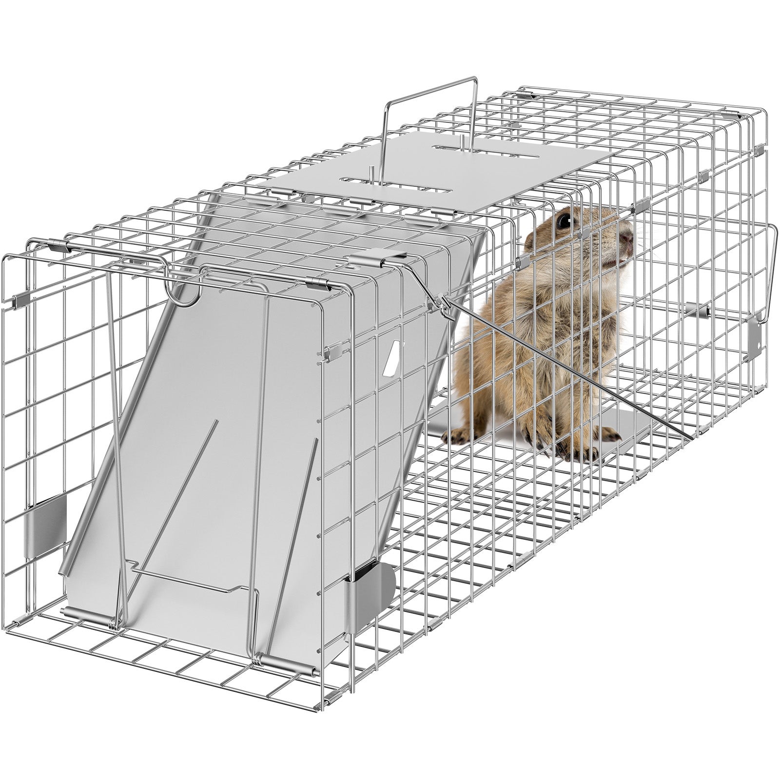 Cage de trappe galvanisée