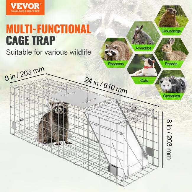 Cage trappe chat sauvage
