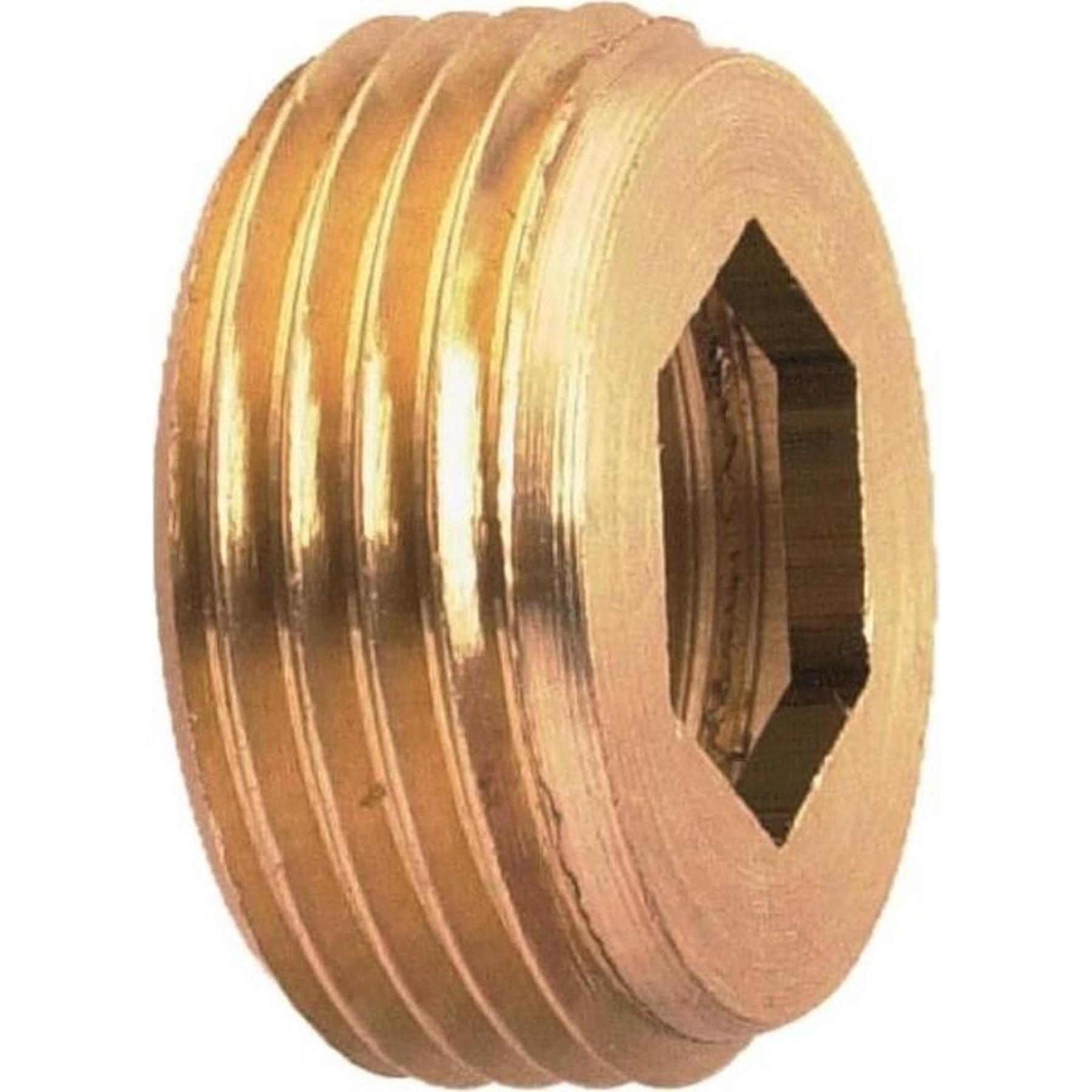 Raccordo Per Tubi Idraulico Boccola Riduzione Esagonale In Ottone - Filettature NPT 3/4 Maschio X 3/8 Femmina - Per Impianti Idraulici E Pneumatici Russell Hobbs Tritatutto Raccordo Per Tubi Idraulico Boccola Riduzione Esagonale In Ottone - Filettature NPT 3/4 Maschio X 3/8 Femmina - Per Impianti Idraulici E Pneumatici Russell Hobbs Tritatutto