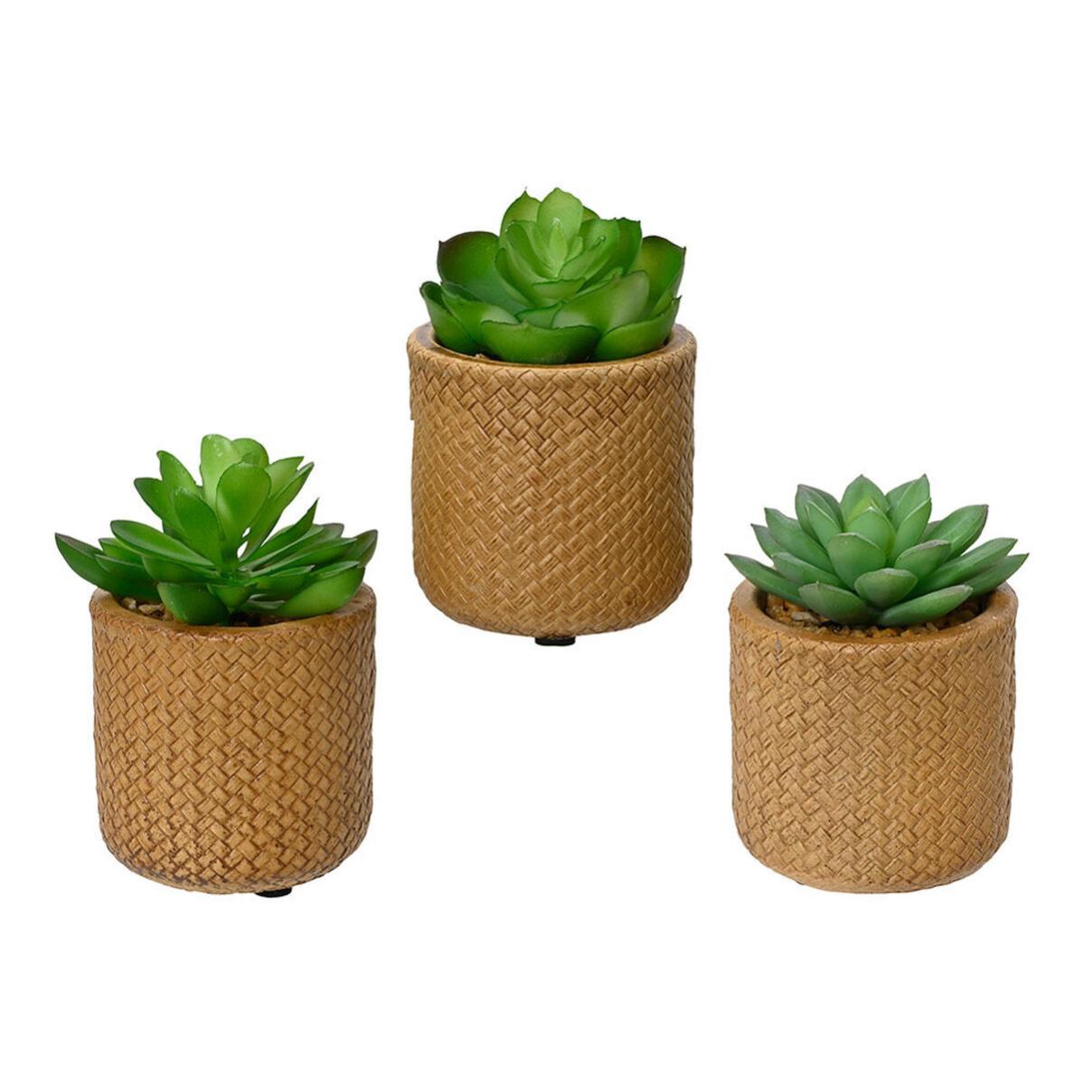 Pianta Fittonia artificiale RHODA su stelo, verde-bianco, 75cm