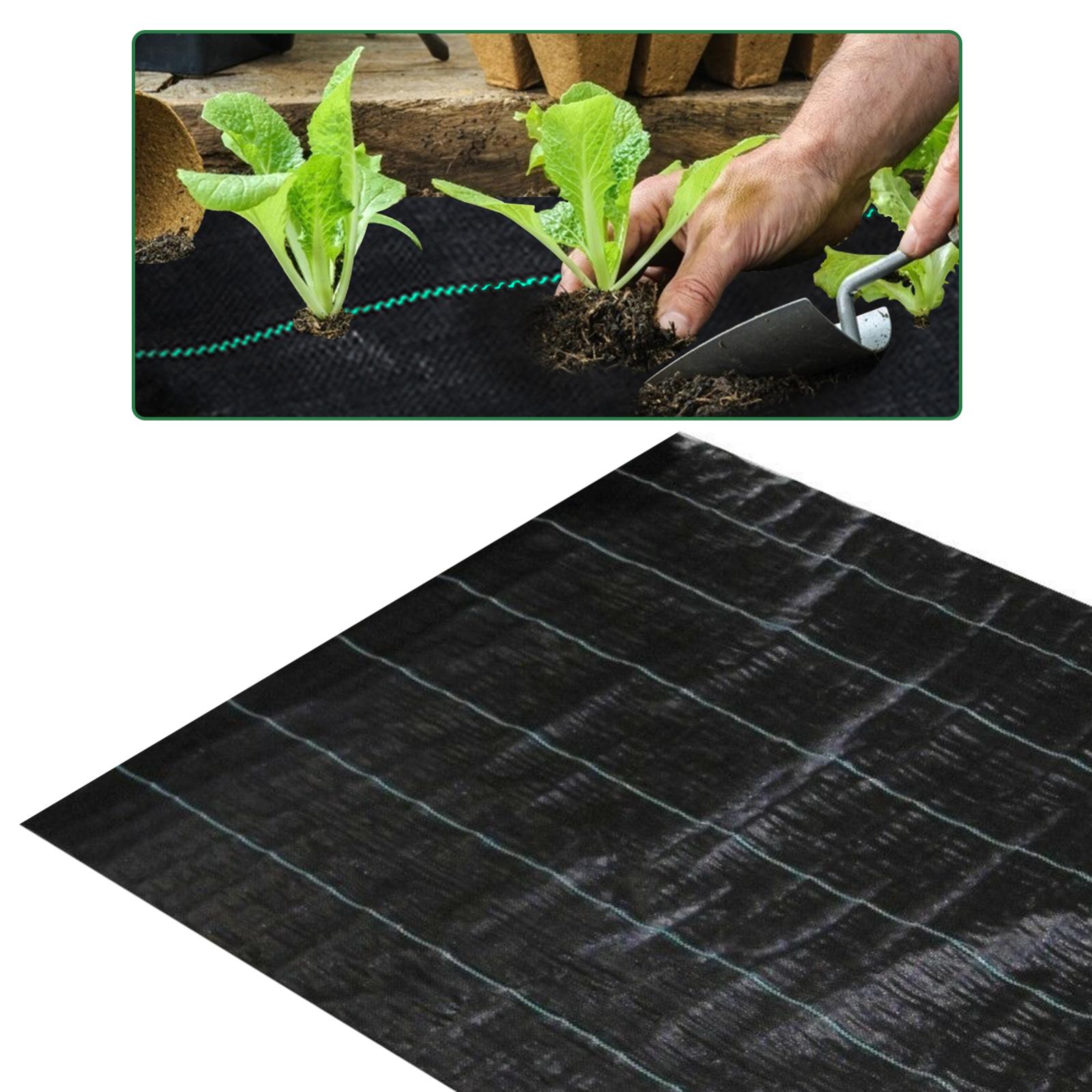 Telo Pacciamatura Anti Erbaccia 0,9x15 M - 100 G/m² - Tessuto In PP Permeabile E Stabilizzato UV - Per Orto E Giardino