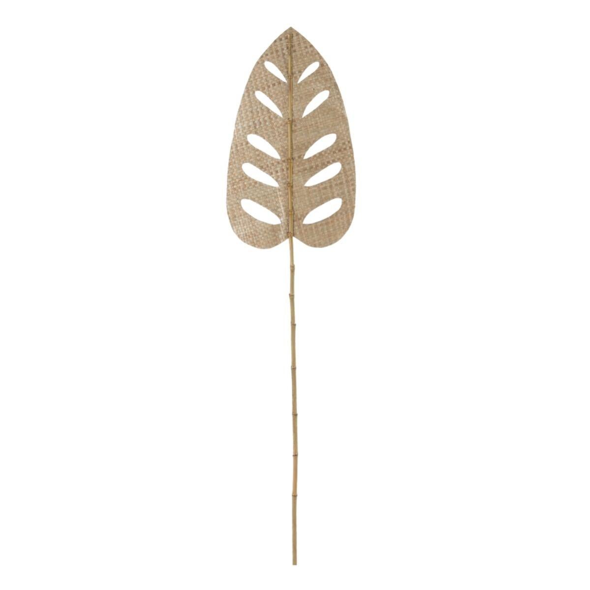 Ramo naturale foglio 43 x 1 x 200 cm leroy merlin