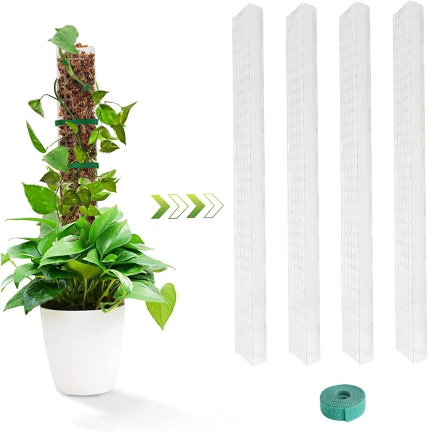 YARNOW Supporto Per Piante Rampicanti – Picchetti In Plastica Per Serra – Tutori Da Giardino Per Orchidee, Rose E Pomodori