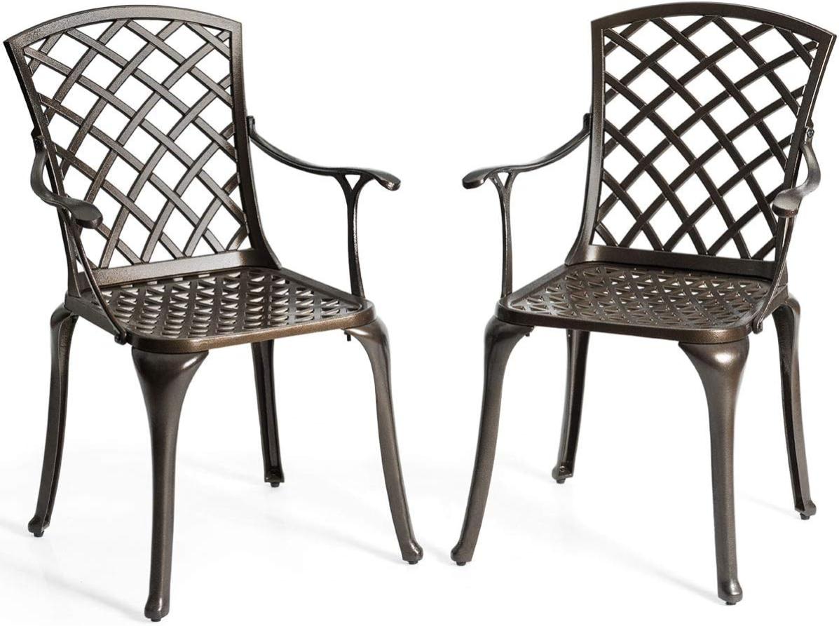 Lot de 2 Chaises de Salon de Jardin en Aluminium Durable avec Accoudoir
