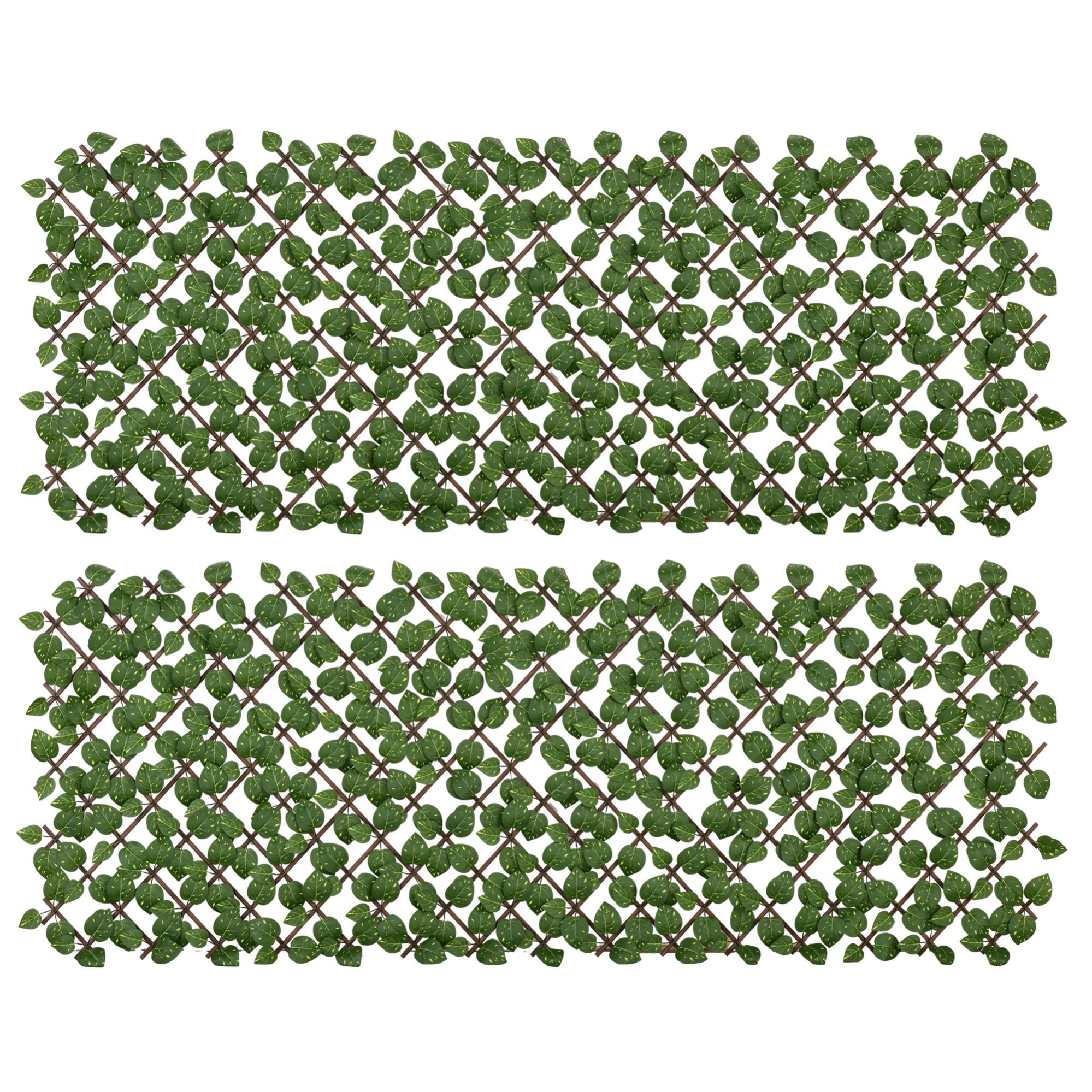 Fiori Per Funerale: Quali Scegliere - Impresa Funebre - Foto 11