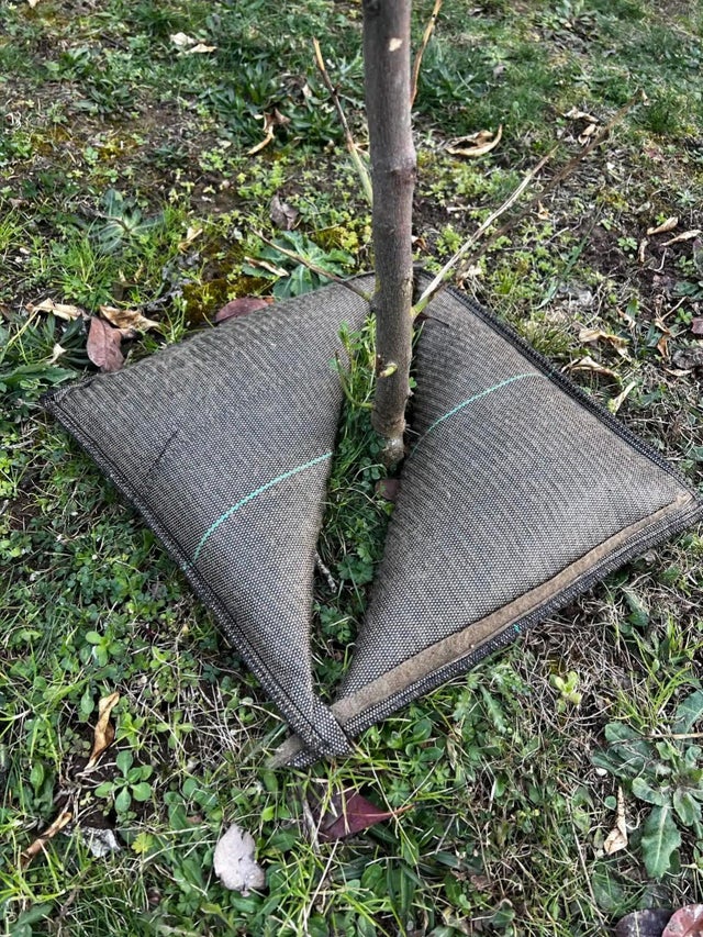 Pack de 10 Cojines de riego TREE’BED 300