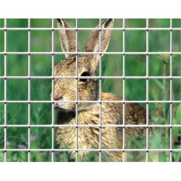 Cestino In Filo Metallico Con Manico Cesto In Rete Metallo Oro Set Di 4 - Foto 7