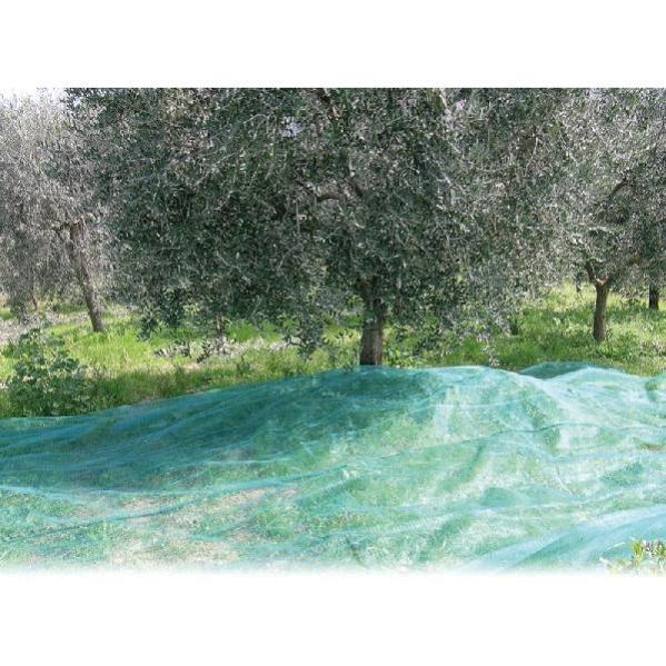 Rete raccolta olive antispina in rotoli - mt.6, rotolo da mt.50 | Leroy Rete raccolta olive antispina in rotoli - mt.6, rotolo da mt.50 | Leroy