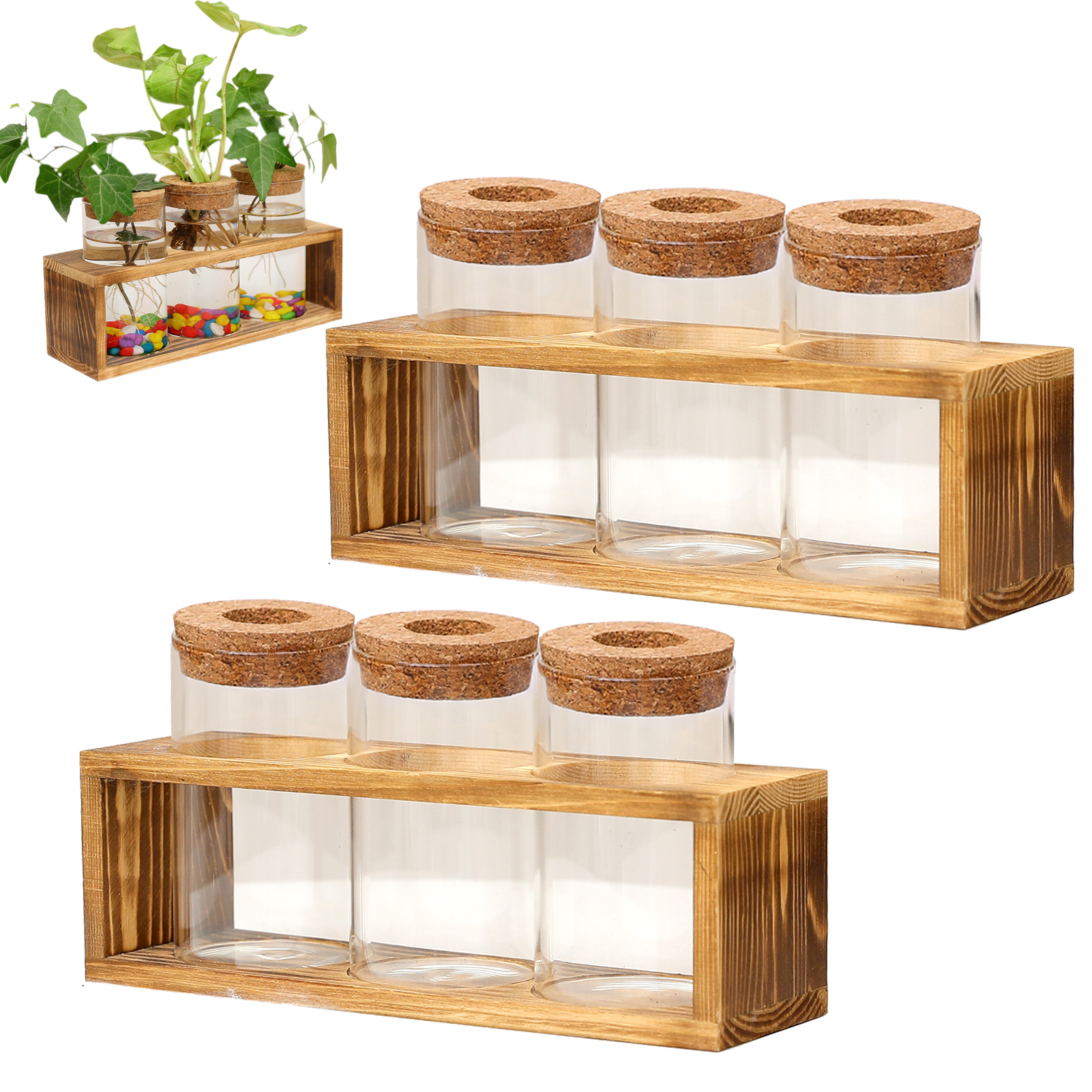 Terrario para plantas, macetero de cristal con soporte de madera