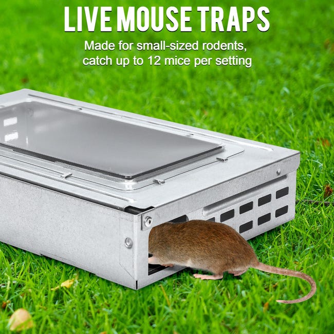  Southern Homewares Trampa automática para ratones multicaptura  humana fácil de configurar - atrapa y libera la trampa de roedores humanos  : Patio, Césped y Jardín