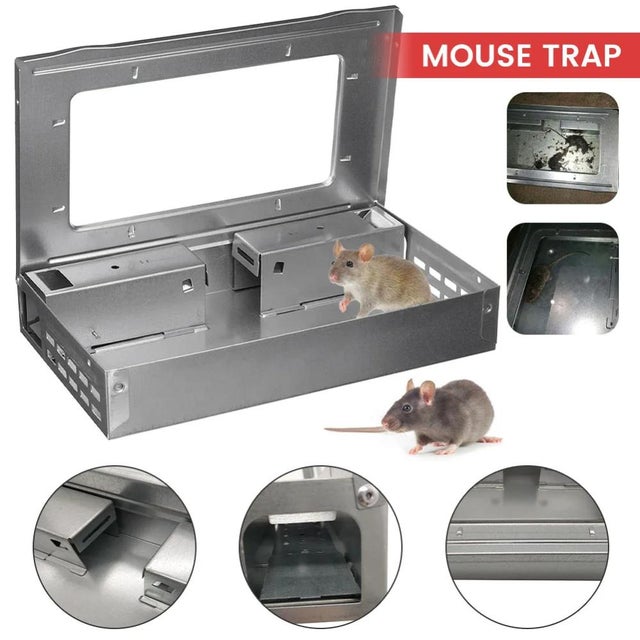 Mata Ratonero Ratonera: Control eficaz de plagas en el hogar
