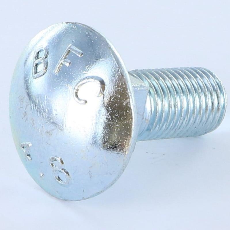 Lot De 10 Boulons Japy Tête Ronde Collet Carré - Acier Zingué Noir - 6 X 50/18 Mm - VISWOOD - Neuf