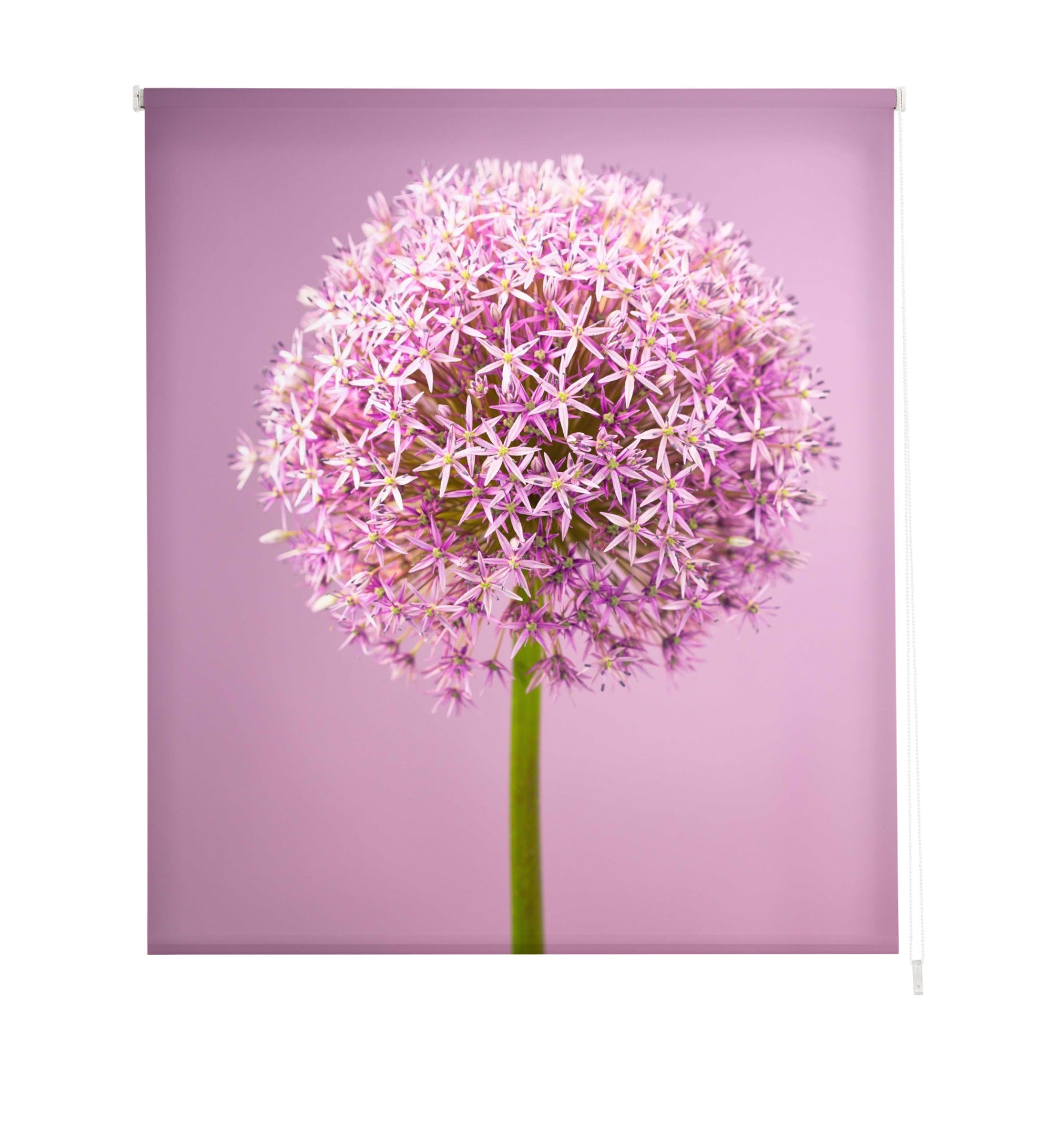 Estoralis   estores personalizados flores y plantas   110 x 255 cm (ancho por alto) tamaño de tela 107 x 250 cm   modelo f-834 color unico