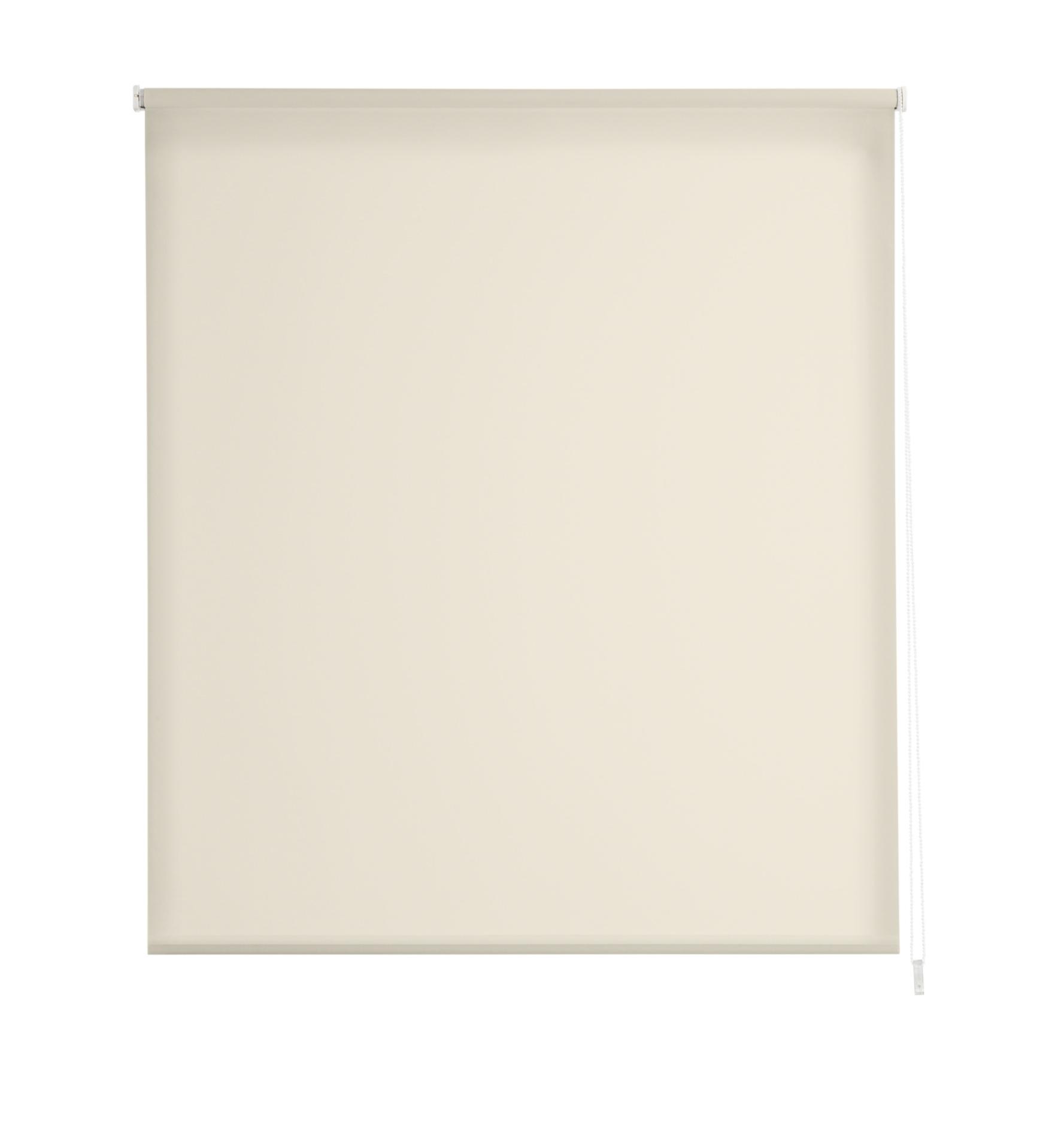 Estoralis   estores enrollables opaco   170 x 235 cm (ancho por alto) tamaño de tela 167 x 230 cm   modelo dracarys color beige