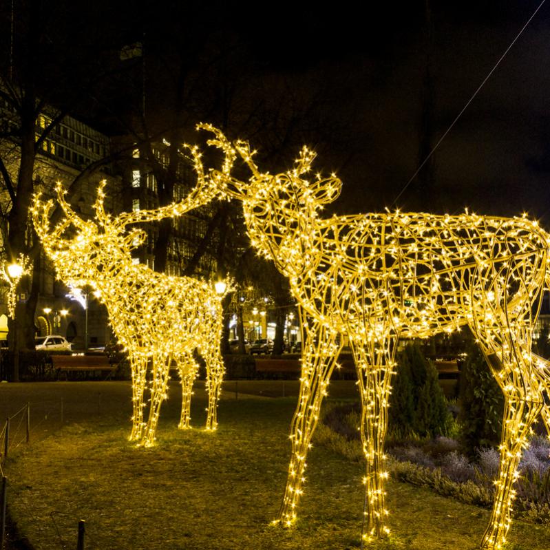 Guirlande Lumineuse Noël Extérieur - 50M 500LED Blanc Froid Prise