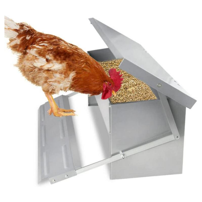 Mangiatoia Automatica A Pedale Per Galline - 5KG, Acciaio Zincato, Anti-Spreco