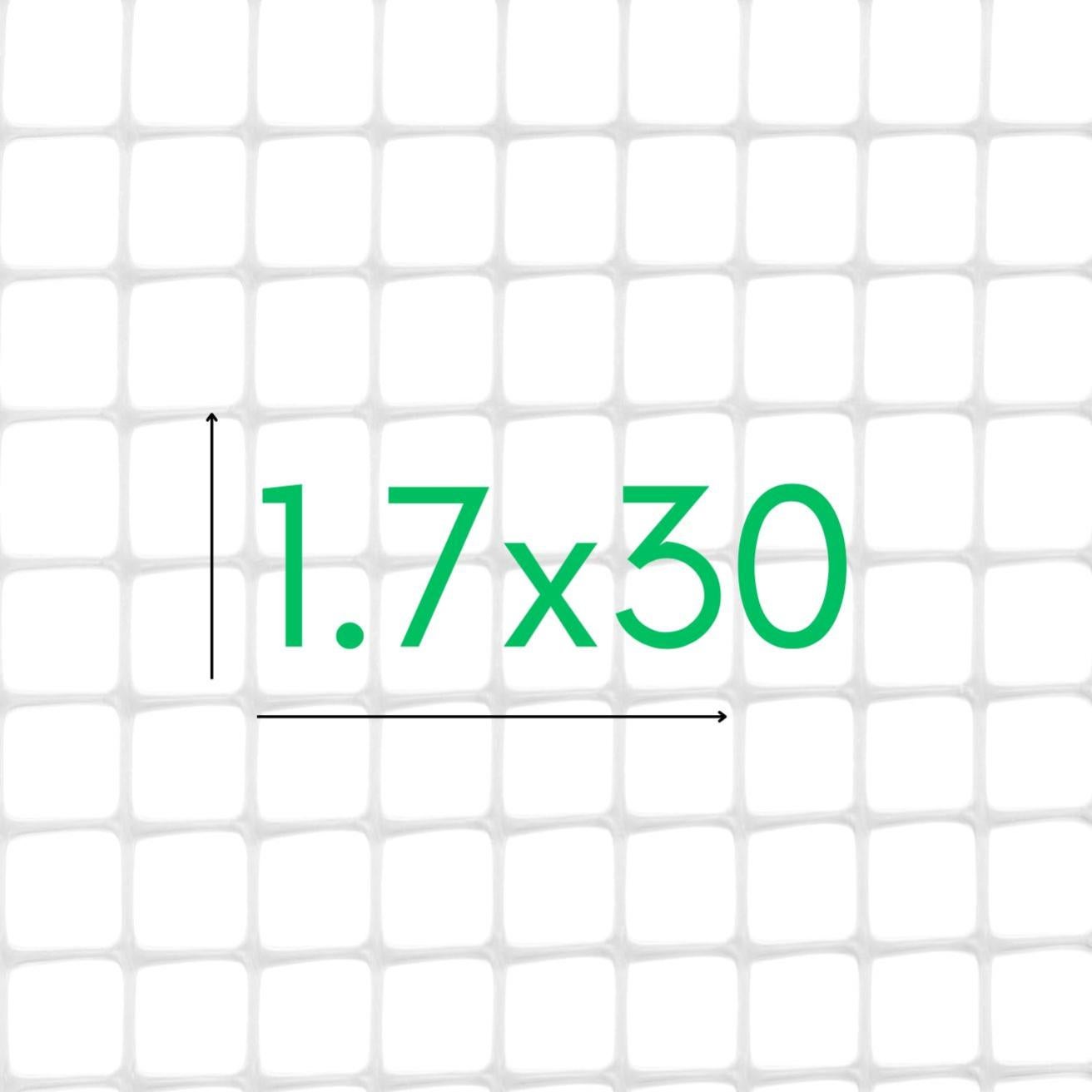 Rete Da Giardino Per Pomodori, Fagiolini E Piselli &ndash; Supporto Ideale