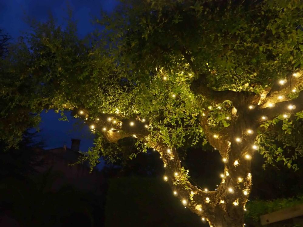 Lot De 3 Rennes Lumineux LED Pour Noël - 60 LEDs Blanc Chaud, Décor Jardin Et Terrasse Extérieur