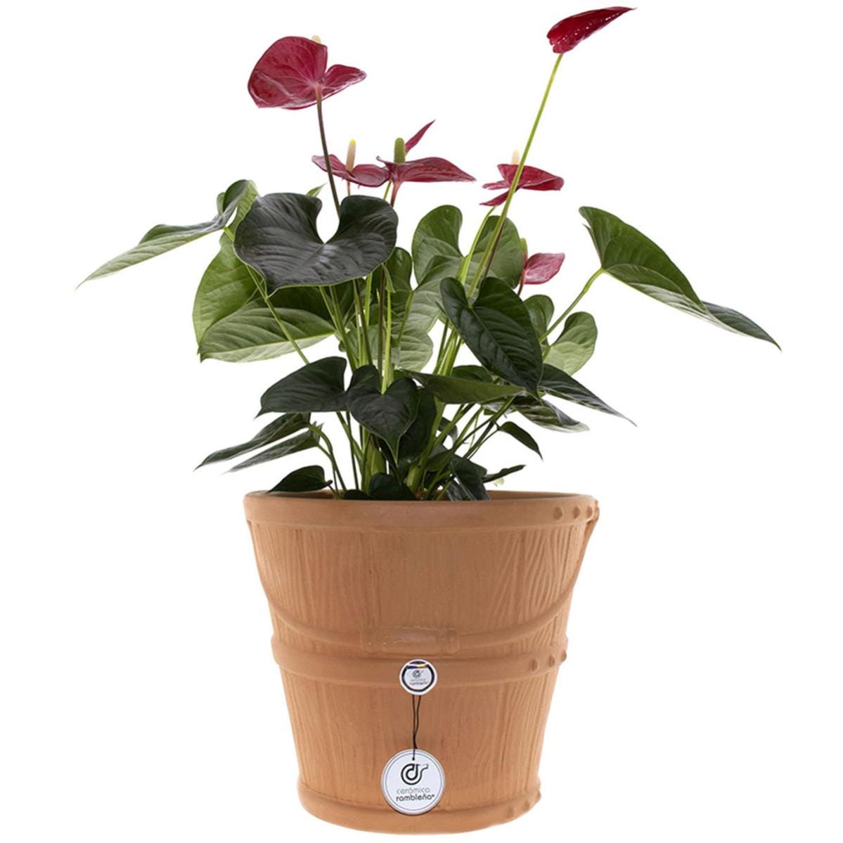 CERAMICA RAMBLENA | Vaschetta di terracotta | La vasca | Vaschetta Antica | Vaschetta da fioriera | Vaschetta Vaso Rustico - Modello 02 | 40x40x50 cm CERAMICA RAMBLENA | Vaschetta di terracotta | La vasca | Vaschetta Antica | Vaschetta da fioriera | Vaschetta Vaso Rustico - Modello 02 | 40x40x50 cm