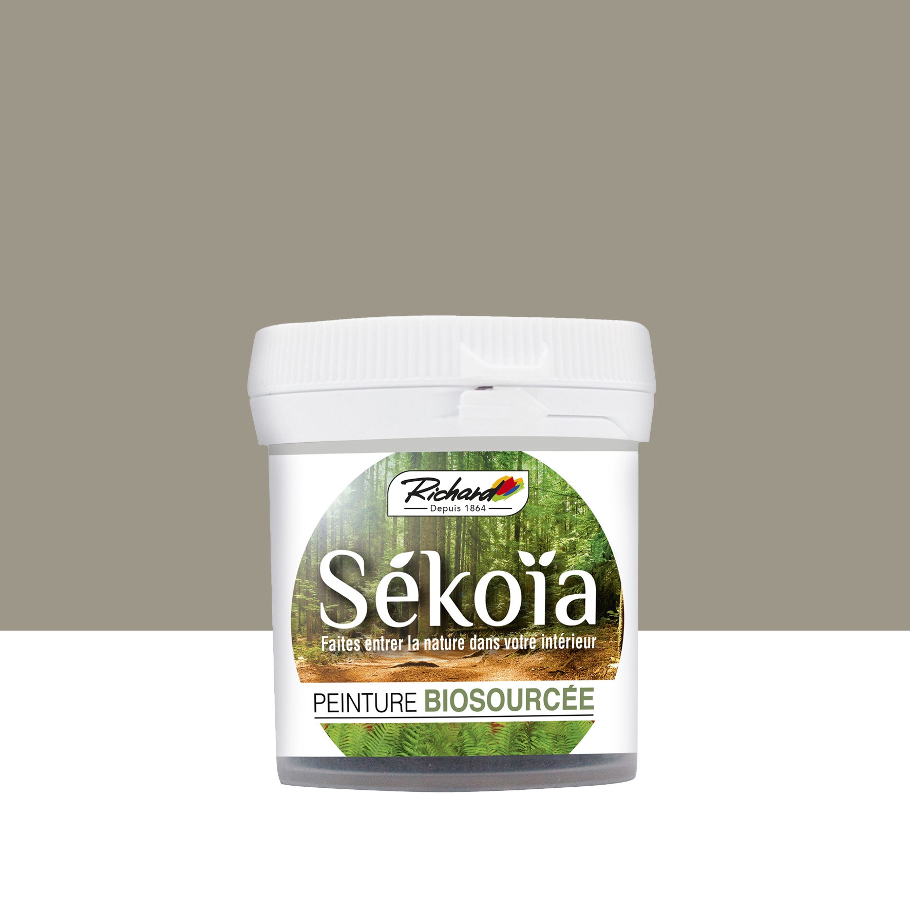 Peinture Beige Albâtre 701- Sékoïa Biosourcée Mat - Testeur 50 ml ...