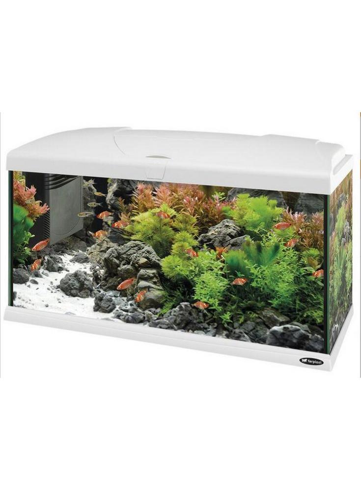 Acquario capri 60 led Bianco 60 litri completo di allestimento | Leroy ...
