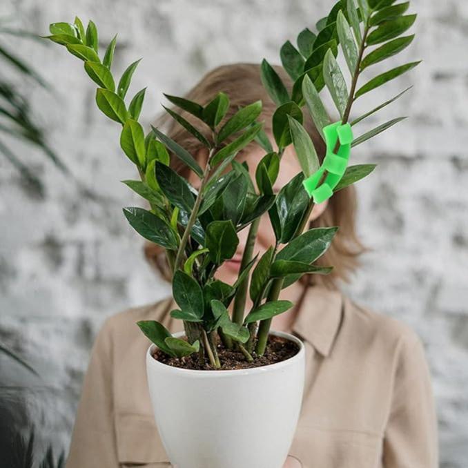 Pinces de pliage de plantes à 90 °, 10 pièces, outil de pliage de plantes, Support de vigne de légumes, Clips de Support de jardin - 5