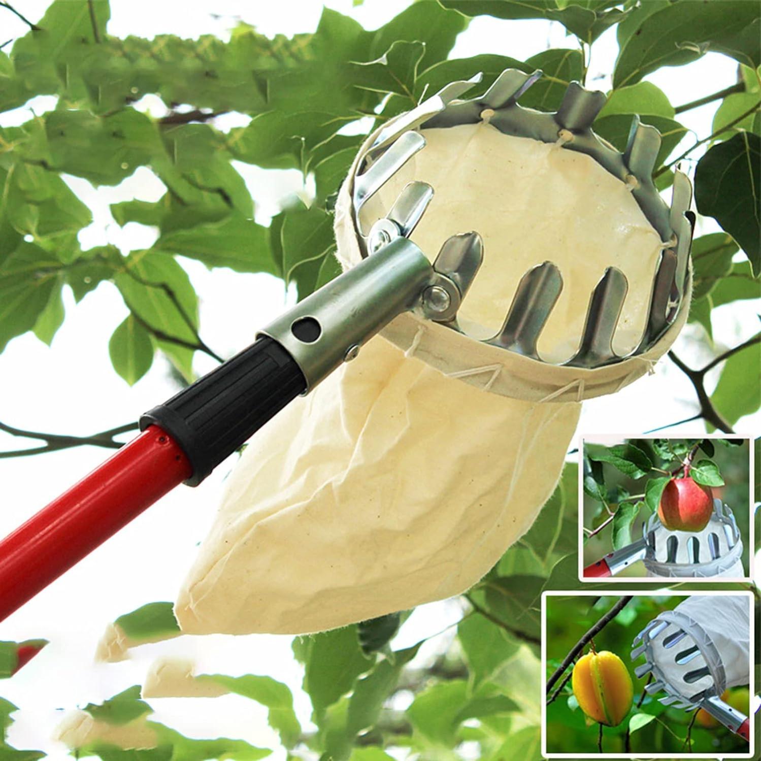 Molyorch 100 Pezzi Borsa In Rete Per Frutta E Verdura - 2