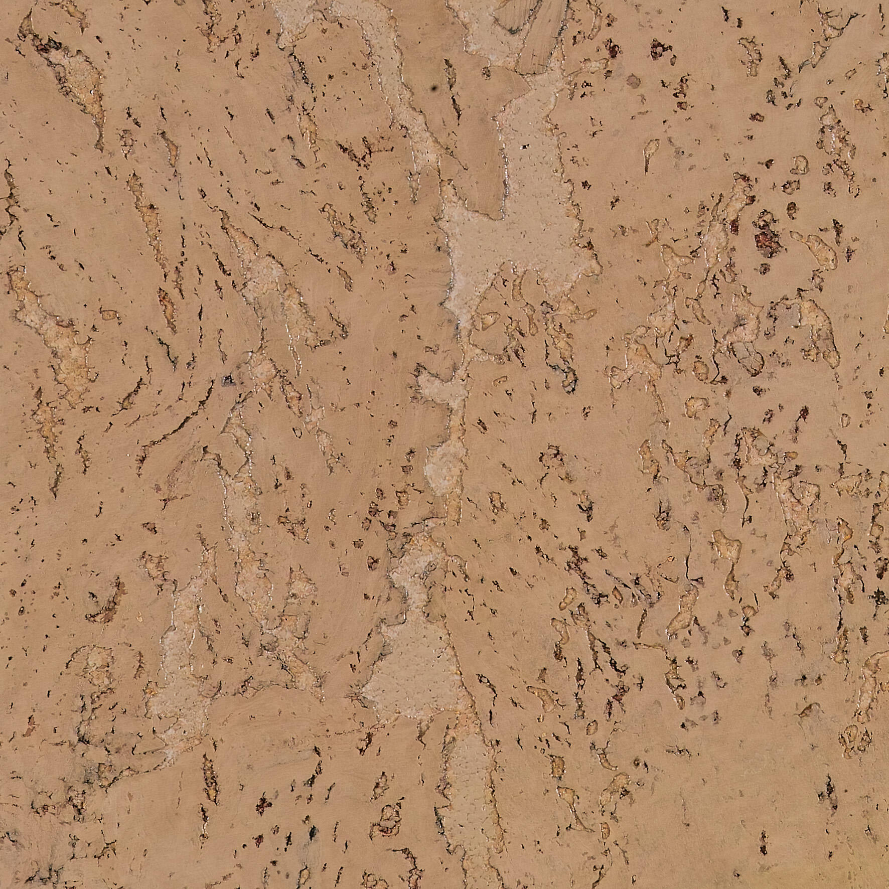 Lot de 5 dalles de liège murales, brun clair, l.60 x L.30 cm - 4
