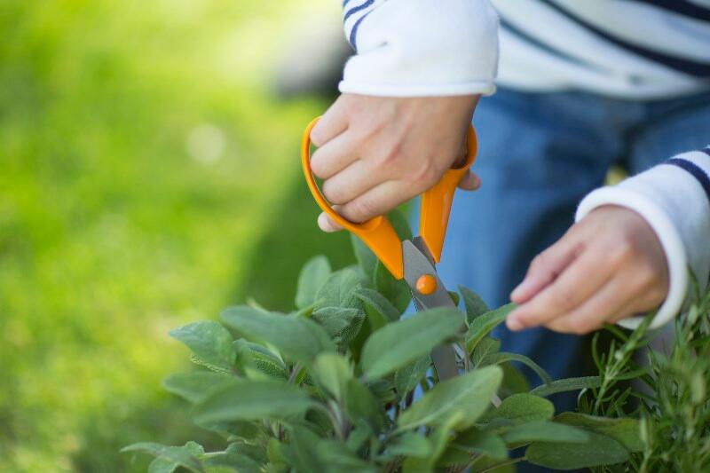 Ciseaux universels droitiers FISKARS Classic 21 cm - 8