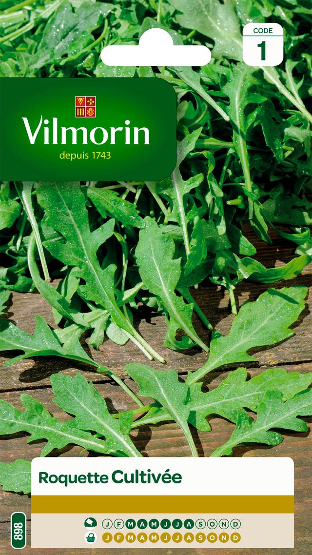 Graines de roquette VILMORIN 5 g