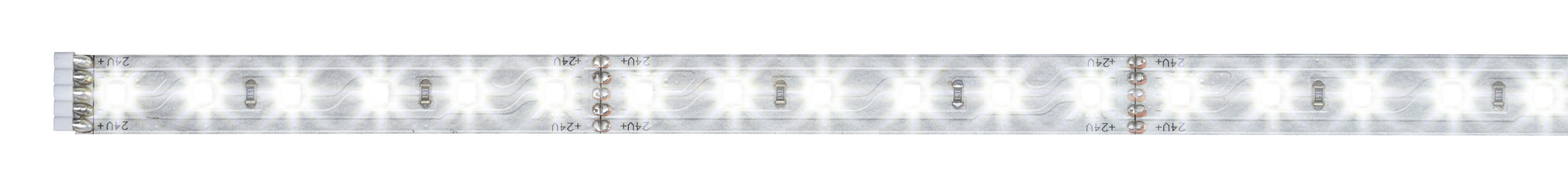 Ruban LED 1m blanc lumière du jour 6500K 550 lumens Maxled PAULMANN - 2