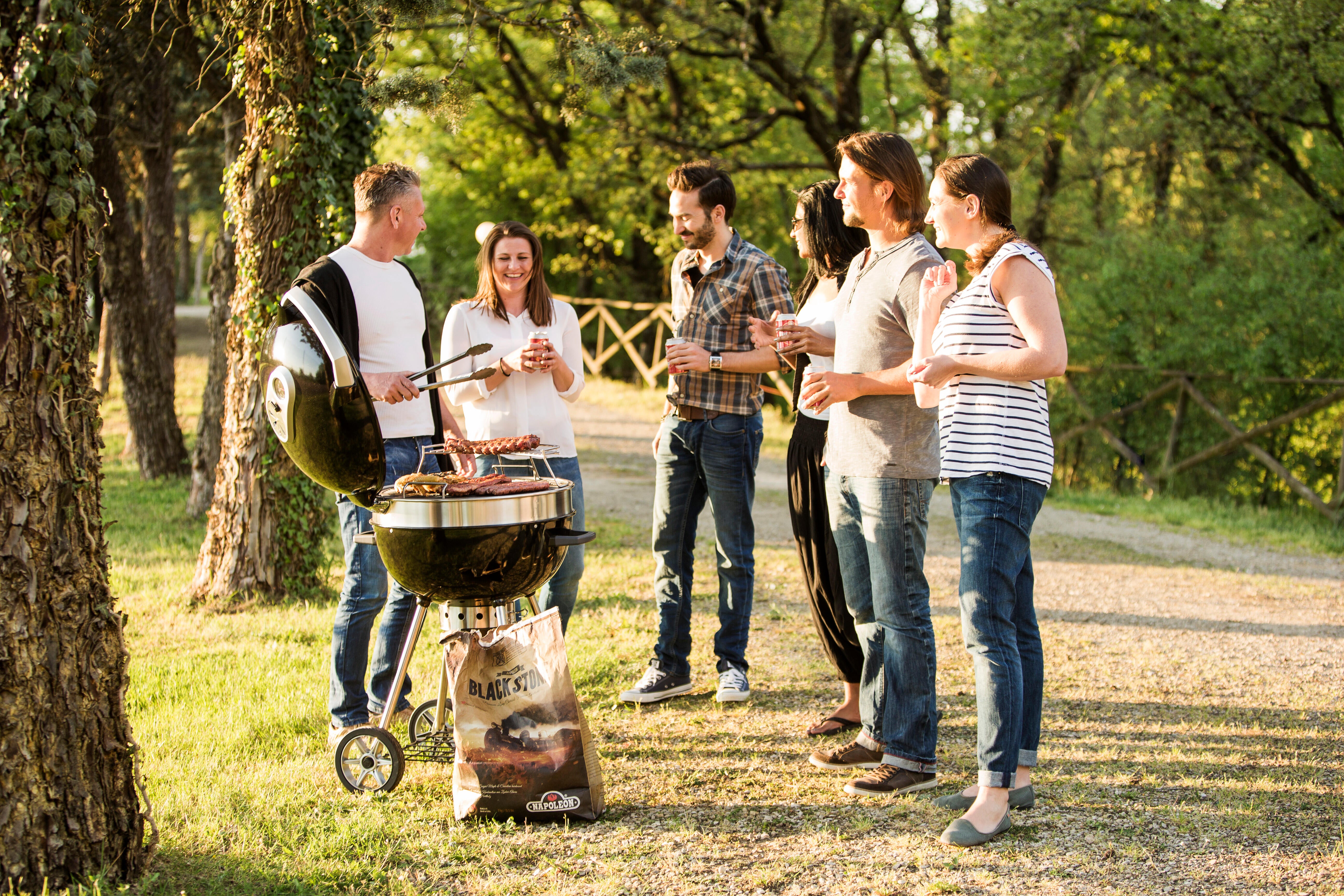 Barbecue charbon de bois NAPOLEON Pro22k-leg-3 noir - 4