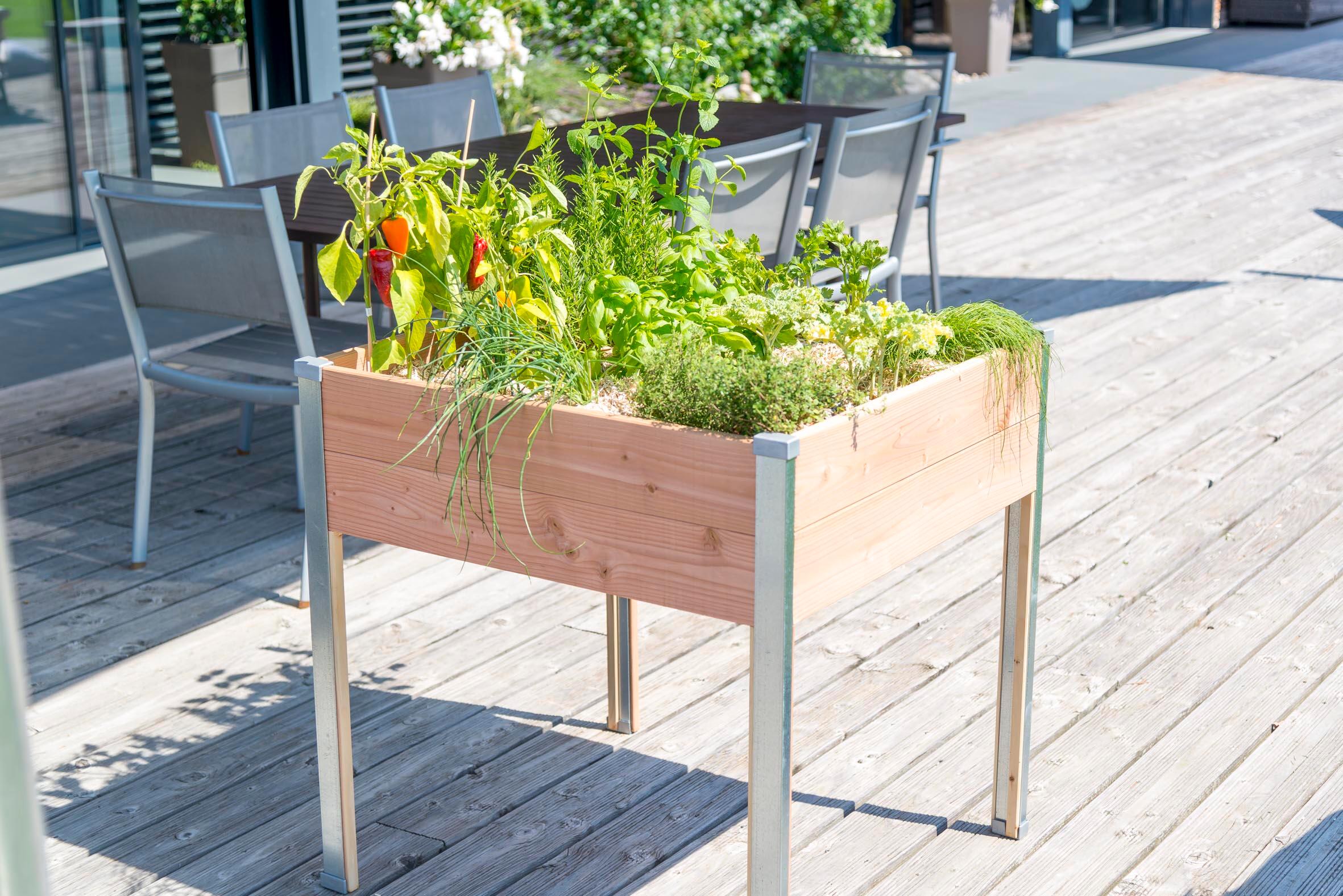 Potager sur pieds MON PETIT POTAGER Design 0819 bois et métal L.75xl.80xH.80cm - 3