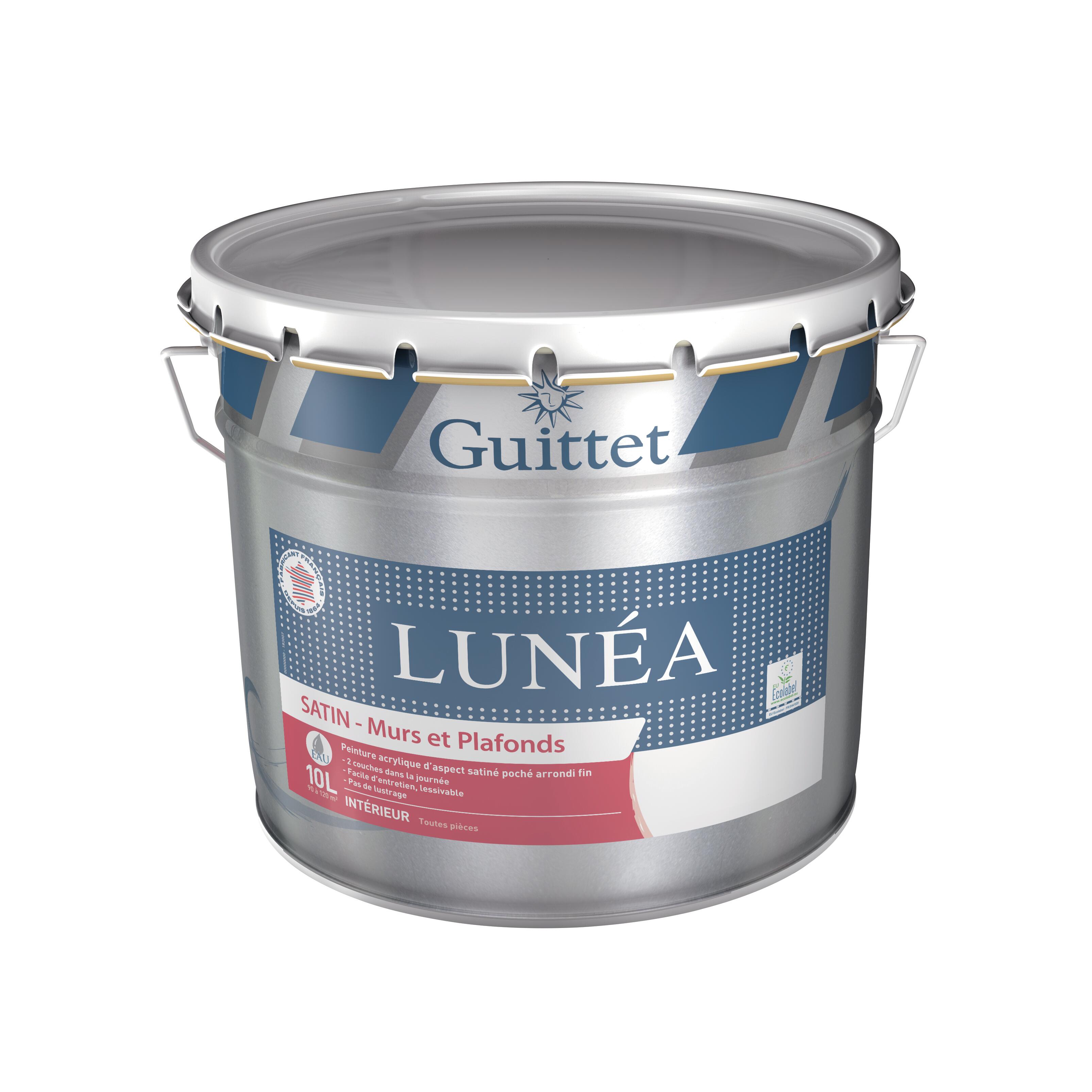 Peinture Spécial Toiture Batir – 10 Litres – Brun Satiné – Neuf