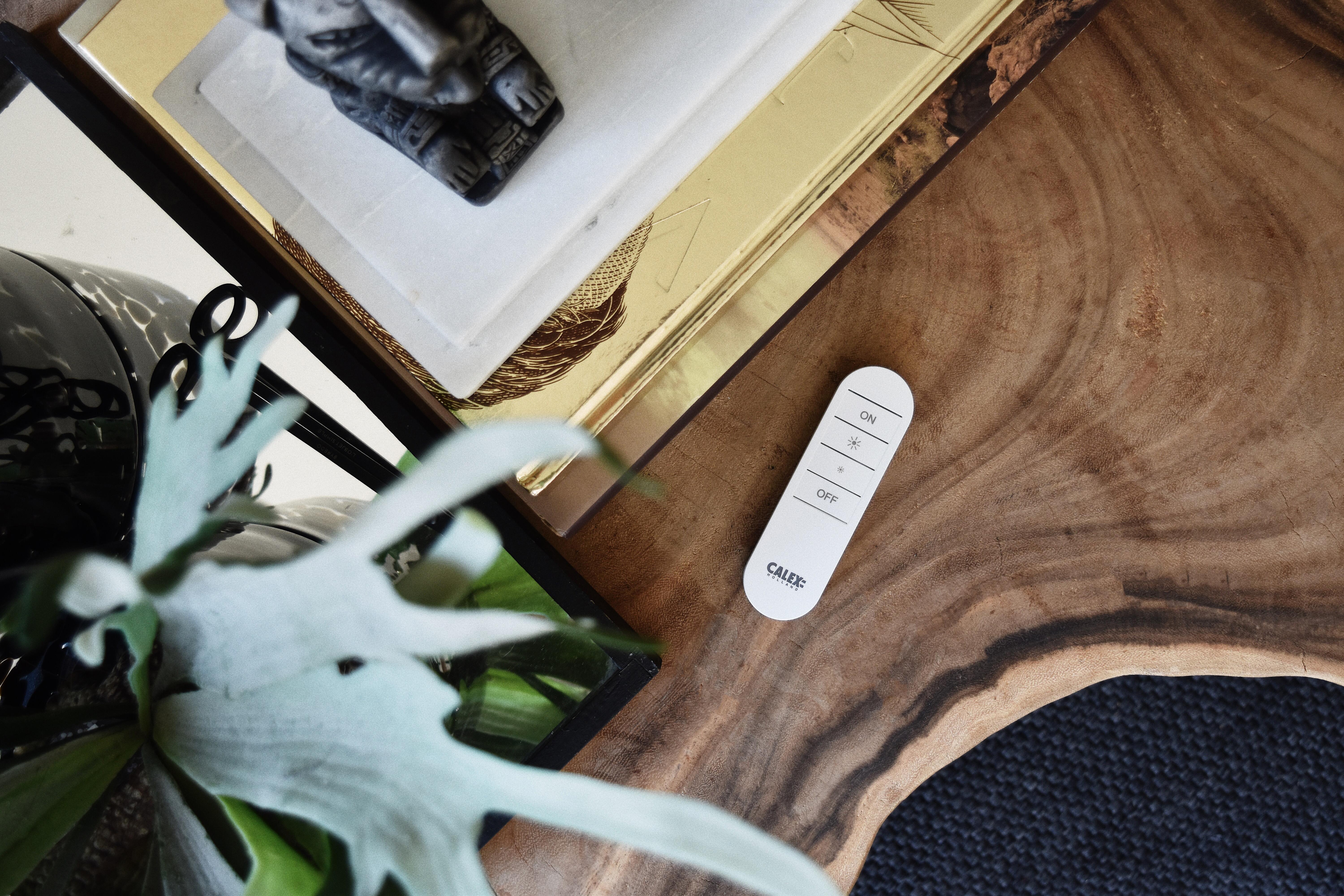 Télécommande Wifi CALEX Smart - 5