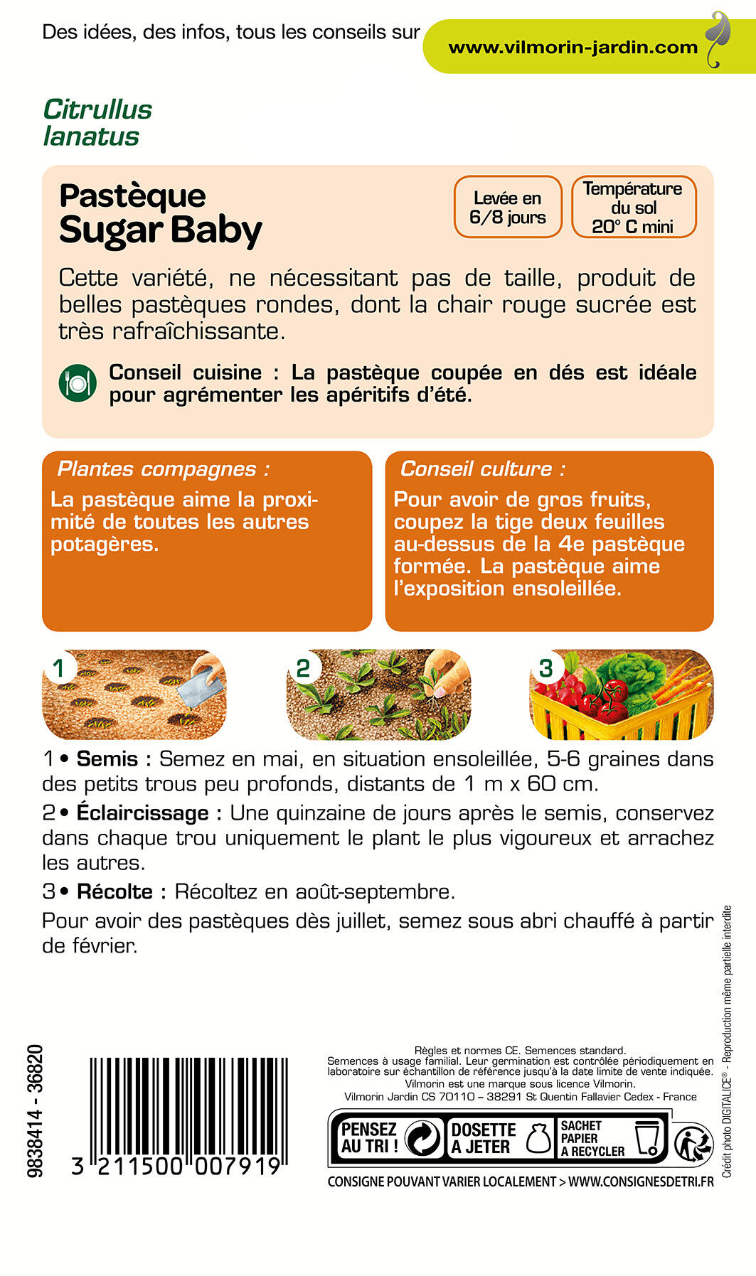 Graines de pastèque VILMORIN 3 g - 2