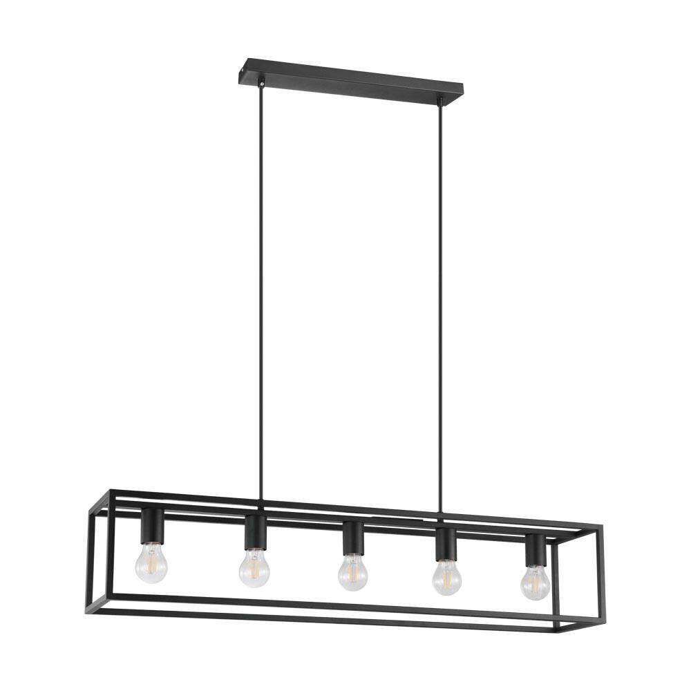 Suspension Eldrick, acier, noir, l.100 cm INSPIRE, E27 - 5