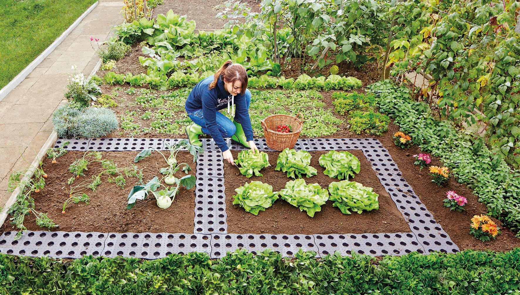 Set de 4 Dalles de potager maxi - 4