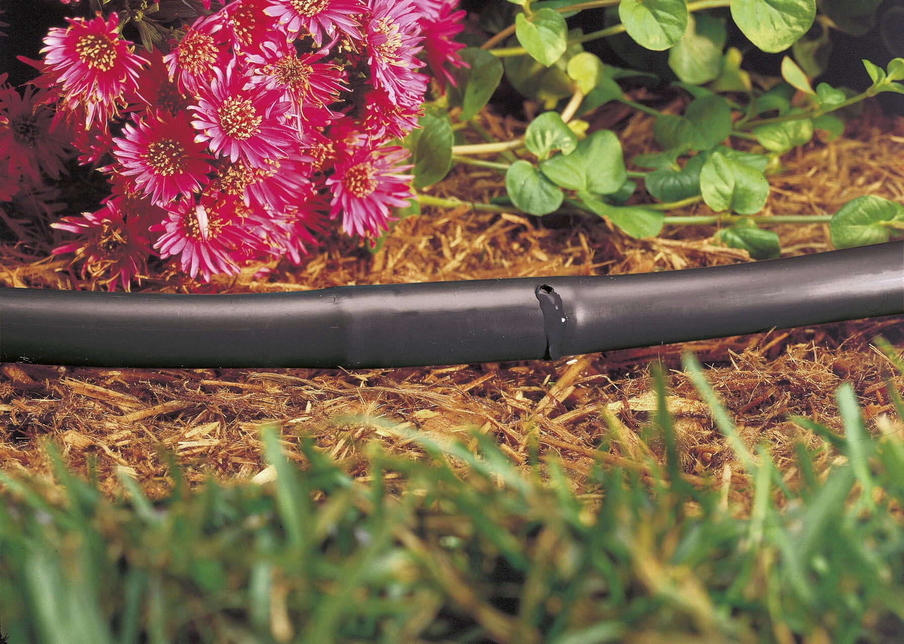 Tuyau d'arrosage avec goutteur intégré GEOLIA 6420380q L.25 m Diam..13.6 mm - 3