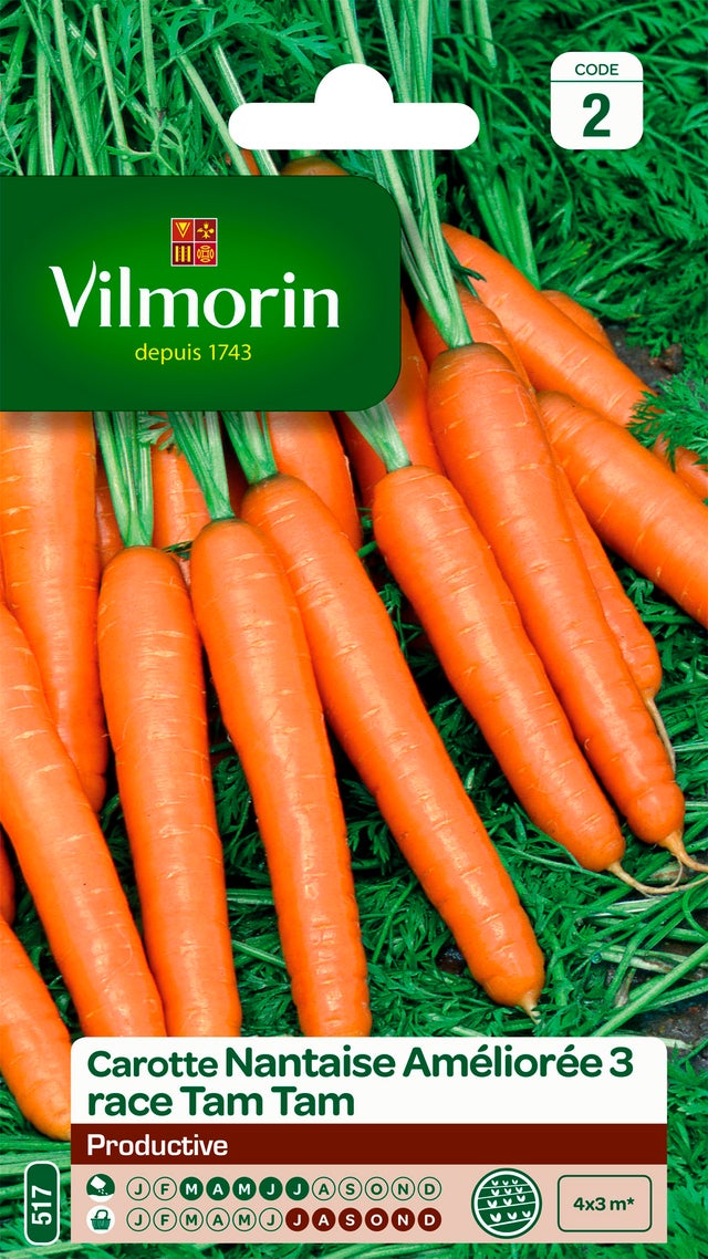 Graines de carotte VILMORIN 4 g