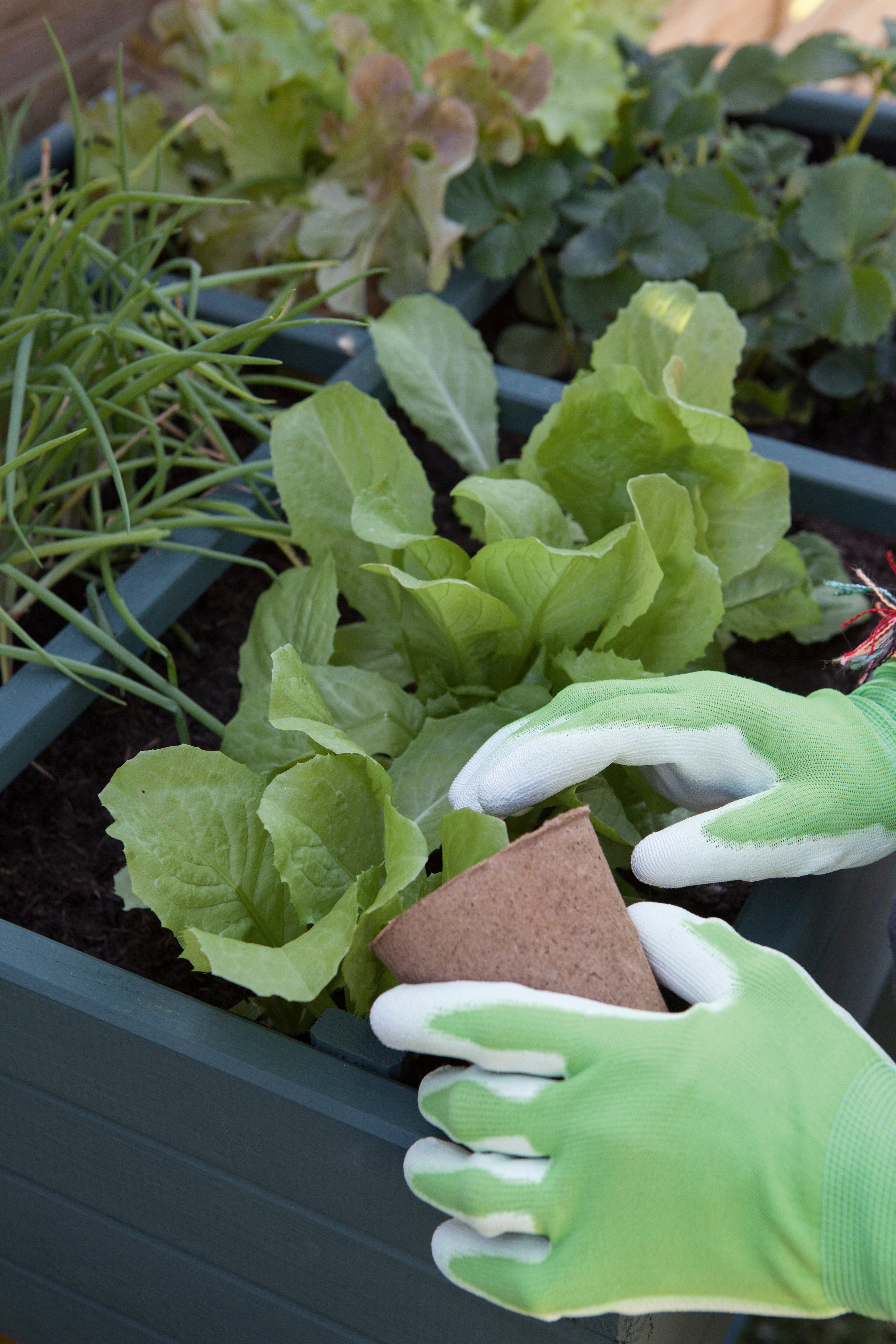 Paire de gants pour travaux de jardinage polyuréthane, T9 GEOLIA - 4