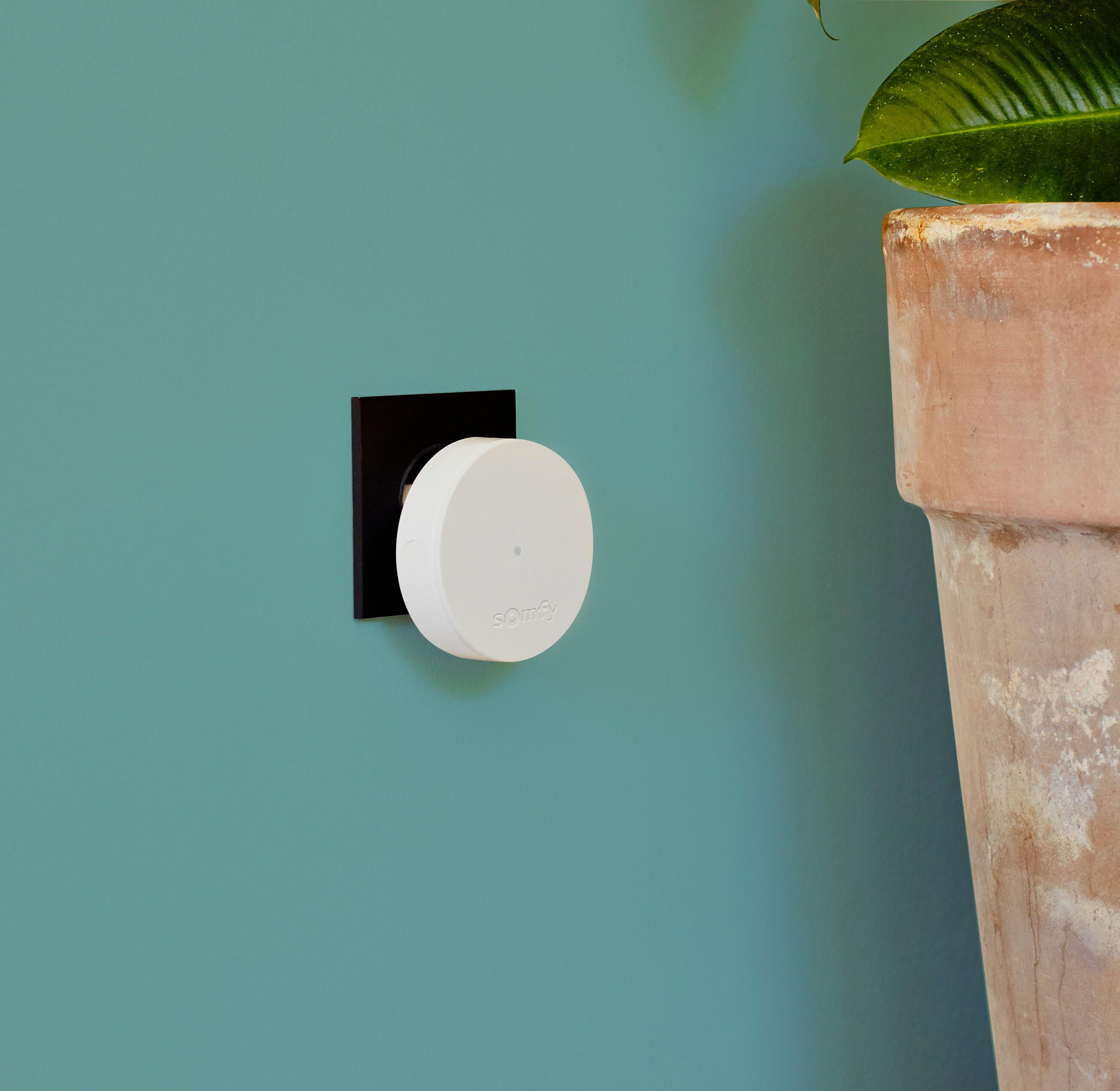Relais Radio SOMFY protect - 2
