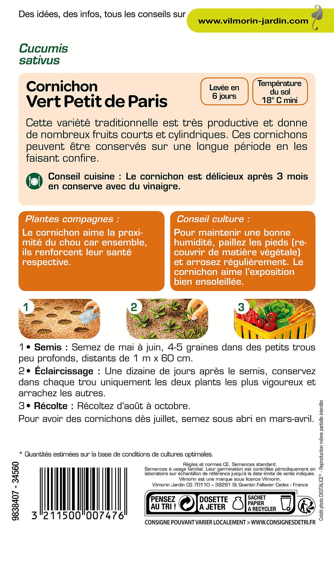 Graines de cornichon VILMORIN 3 g - 2