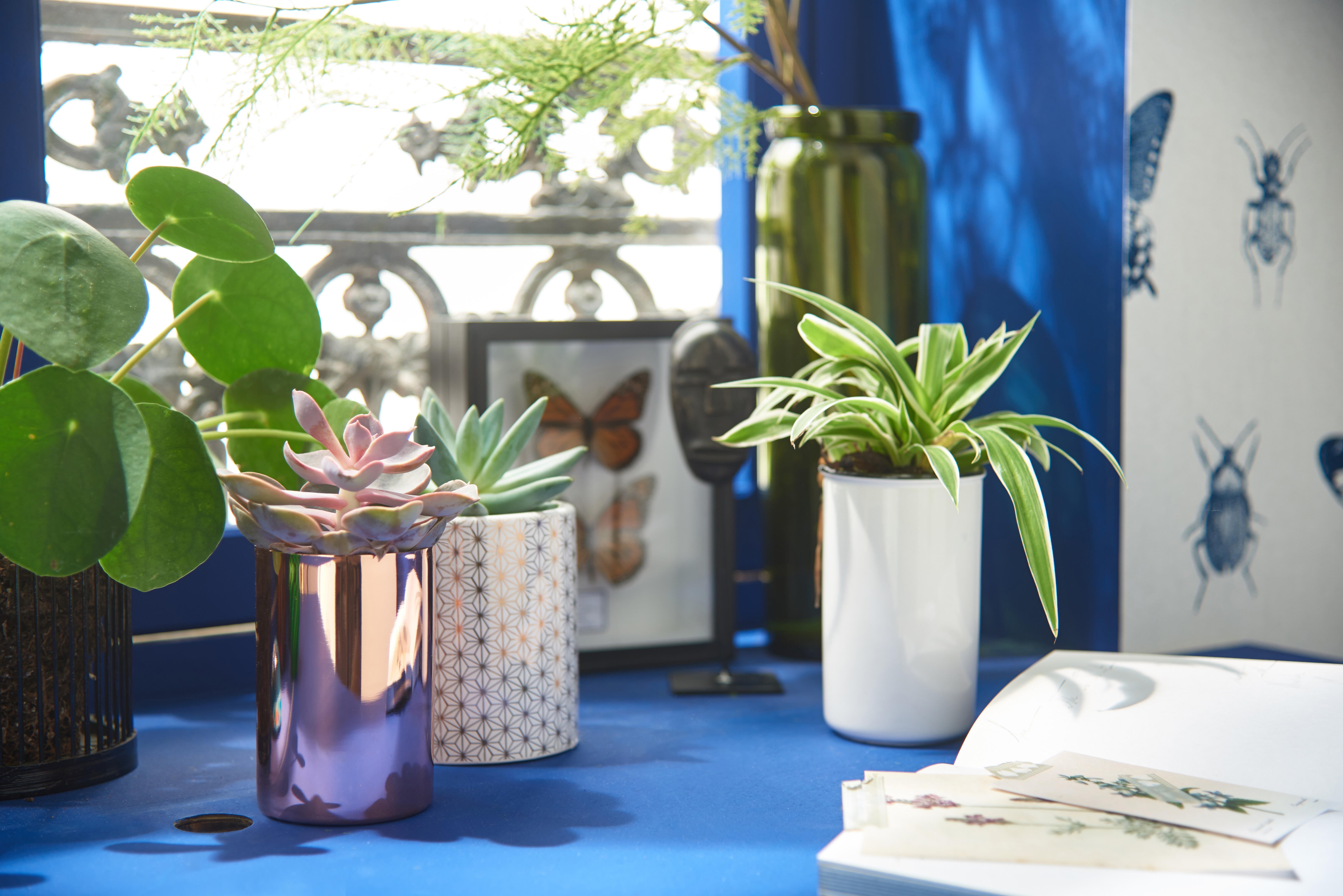 Gobelet de salle de bains Marcel noir et blanc NORASIA - 5