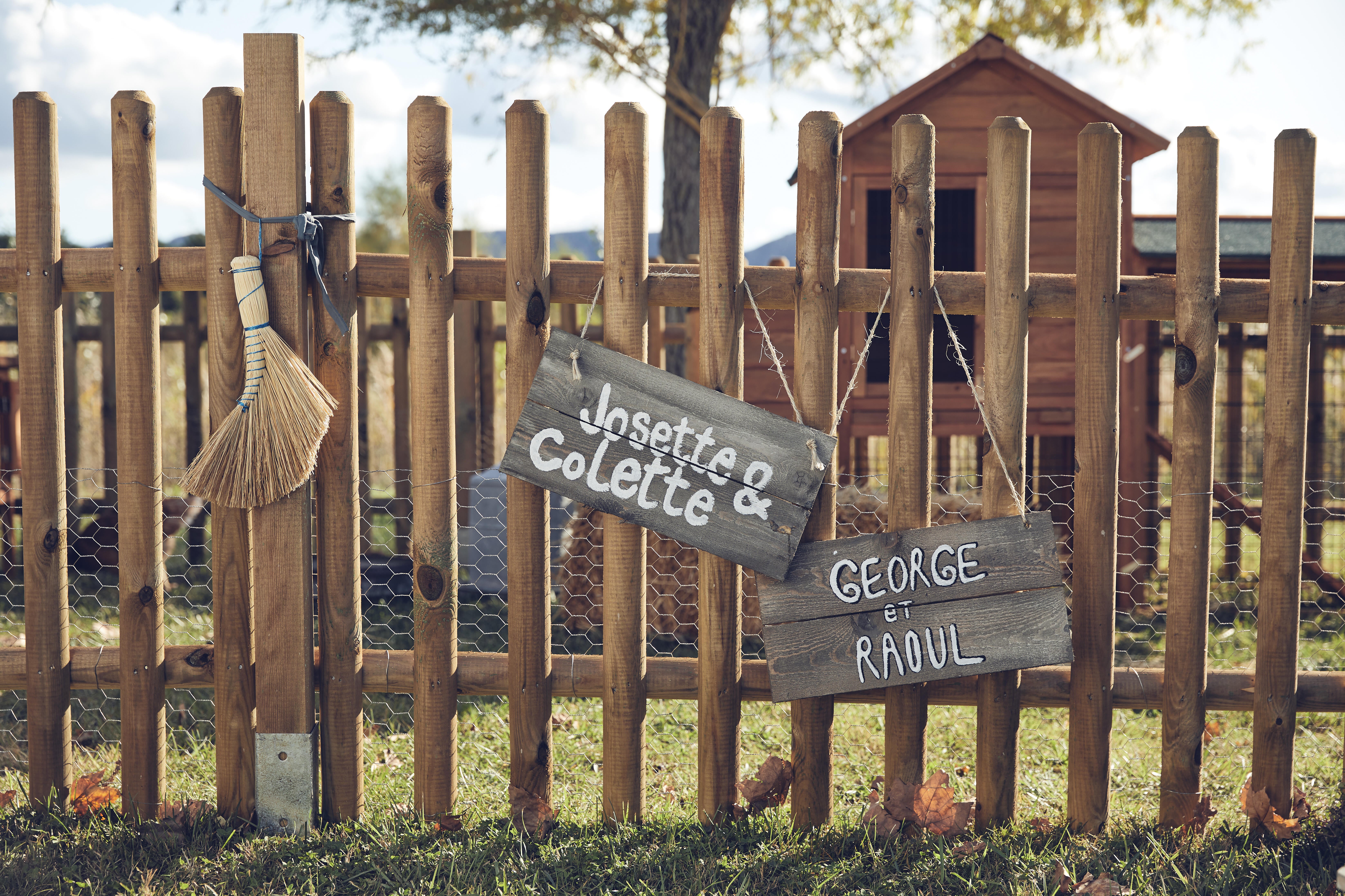 Portillon battant Buffalo, CERLAND, l.100 x H.100 cm, naturel - 8